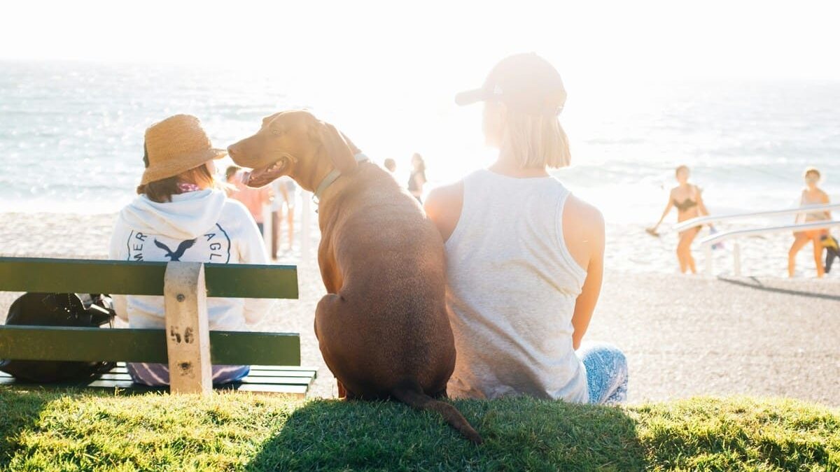 Sitting on a bench with his dog near the beach