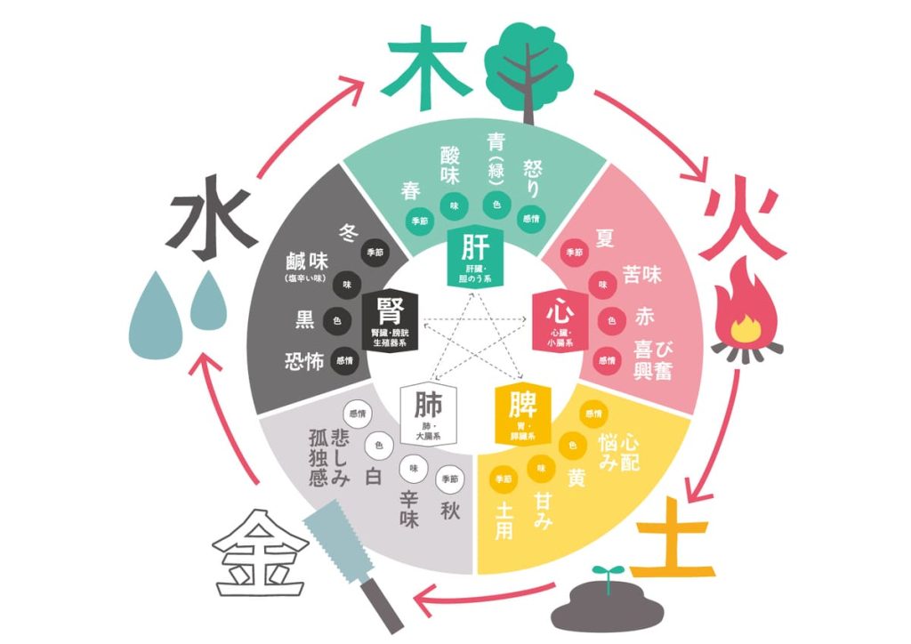 五行説の図。木、火、土、金、水の五つの要素がそれぞれの季節、色、味、感情、臓器に関連付けられて示されている。