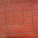 Close-up image of red crocodile leather texture, featuring large and distinctive scale patterns.