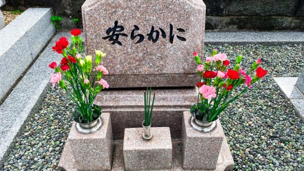 初めてのペット霊園火葬、選ぶ際の重要ポイントとは？