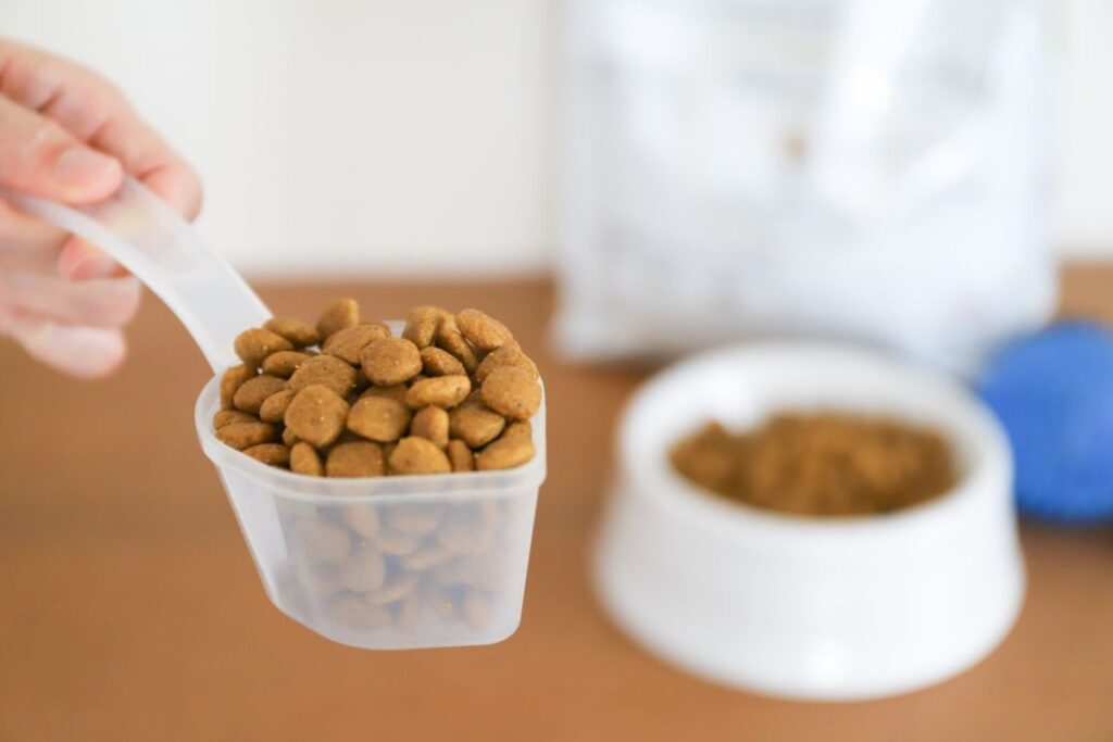 プラスチックの計量カップに入ったドライペットフード。背景にはフードボウルが置かれている。