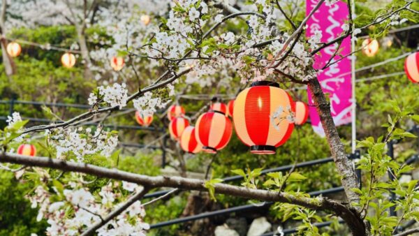 初めての地域活性化イベント！企画・運営・成功のコツを初心者向けに解説