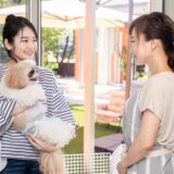 忙しい飼い主の味方！ペットホテル選びで絶対外せないポイント