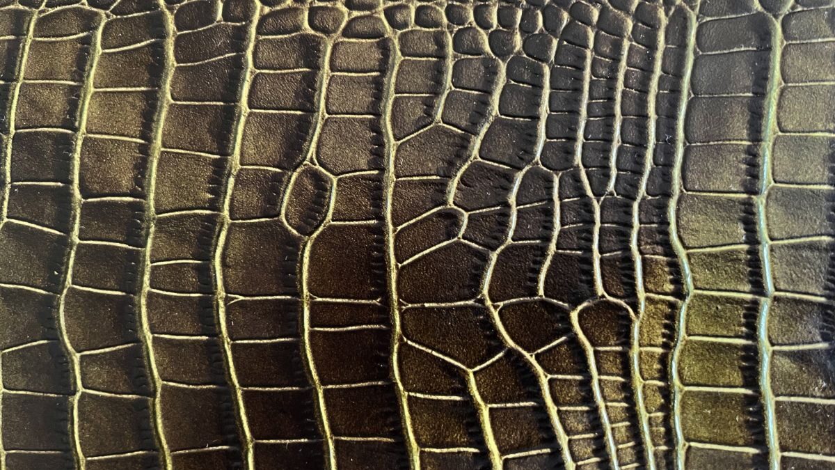 A detailed close up of crocodile leather featuring small dorsal scale patterns.