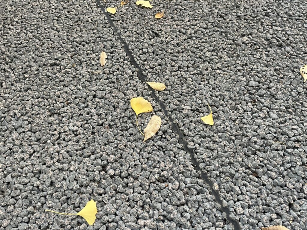 透水性の高いポーラスコンクリートの表面に落ち葉が散っている様子を写した画像。